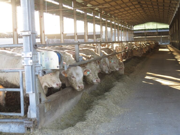 El Gobierno ha aprobado el paquete normativo para el desarrollo de la nueva Política Agraria Común