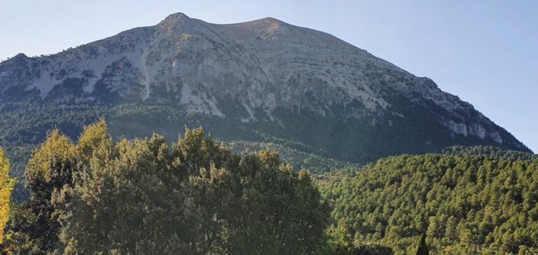 Los legisladores europeos estrangulan al campo con la Ley de Restauración de la Naturaleza