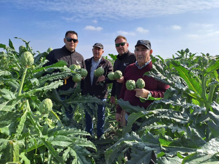 Marfruit recibe el Premio Agricultor del año de Elche por fomentar el relevo generacional y dar el salto hacia importantes mercados internacionales