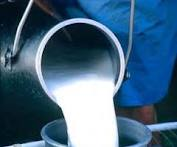 La presión de la leche importada a bajo precio hunde la producción por debajo de la ya baja cuota nacional