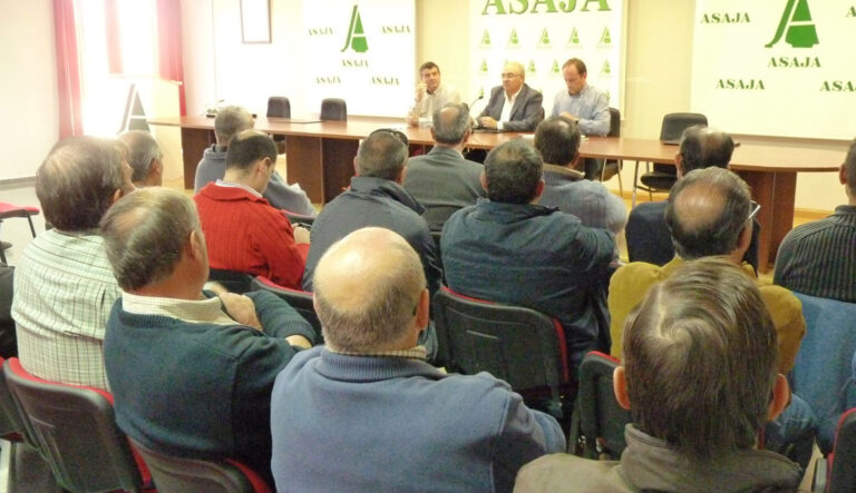 ASAJA Cuenca alerta del grave problema de los daños de las especies de caza mayor en los cultivos de la provincia