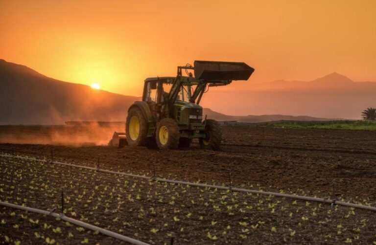 APAG Extremadura Asaja se muestra contrario al cambio de hora por ser perjudicial para el campo