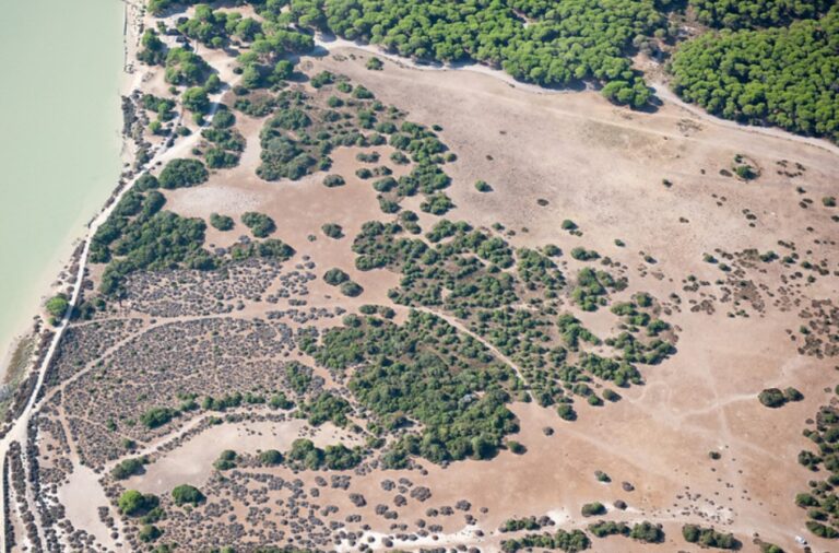ASAJA-Jaén pide al Gobierno de la Nación que cumpla con el Plan Hidrológico y deje atrás los debates políticos estériles y que no cumplen con los agricultores de la zona