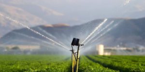 Asaja Huelva reitera su apoyo a la PDL e insta al Gobierno a cumplir sus compromisos con los agricultores