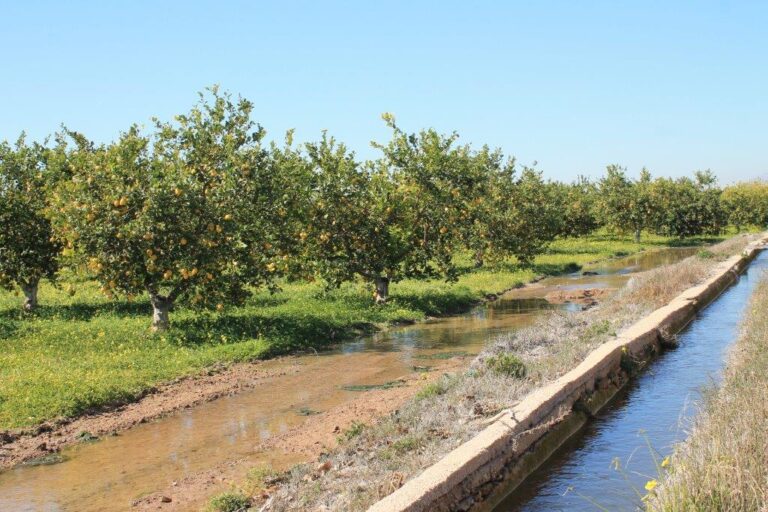 Asaja exige al Gobierno que deje de atacar a los agricultores y cumpla con sus obligaciones