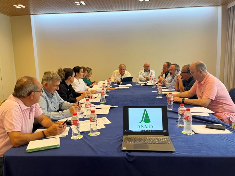 ASAJA CLM exige la inminente puesta en marcha de las medidas de ganadería