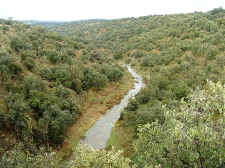 ASAJA-JAÉN pide cambios en la política de conservación forestal