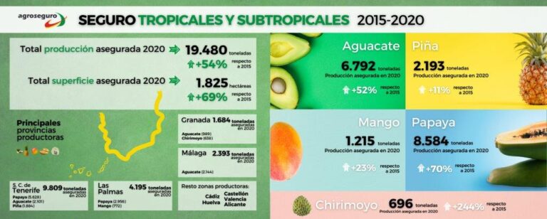 La producción asegurada de cultivos tropicales y subtropicales aumenta un 54% en cinco años