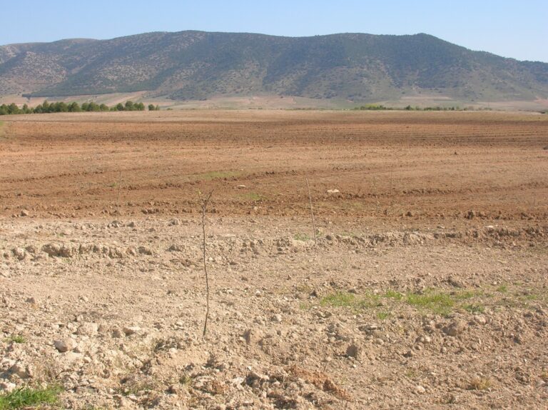 Asaja Granada aborda con la Consejería de Agricultura la mejora en el reparto de las ayudas ecológicas