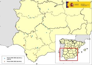 Asaja Jaén. Actualización de la situación de la enfermedad hemorrágica epizoótica