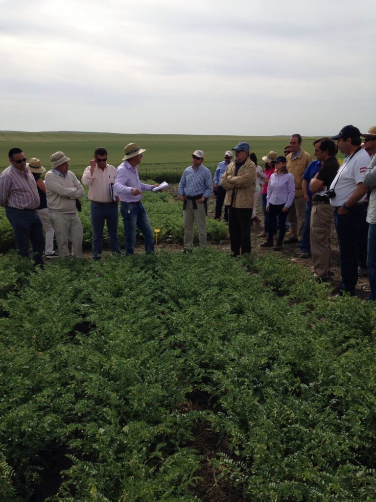 ASAJA Córdoba apoya la investigación y la multiplicación de leguminosas en una visita a la finca Tomejil del Ifapa en Carmona