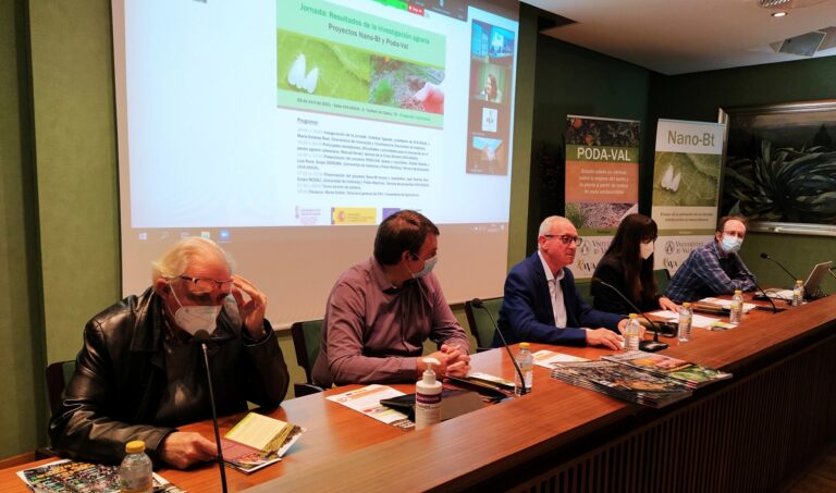 La UV y Asaja Valencia AVA comprueban los beneficios agroambientales de la aplicación en el suelo de restos de poda y de cubiertas vegetales