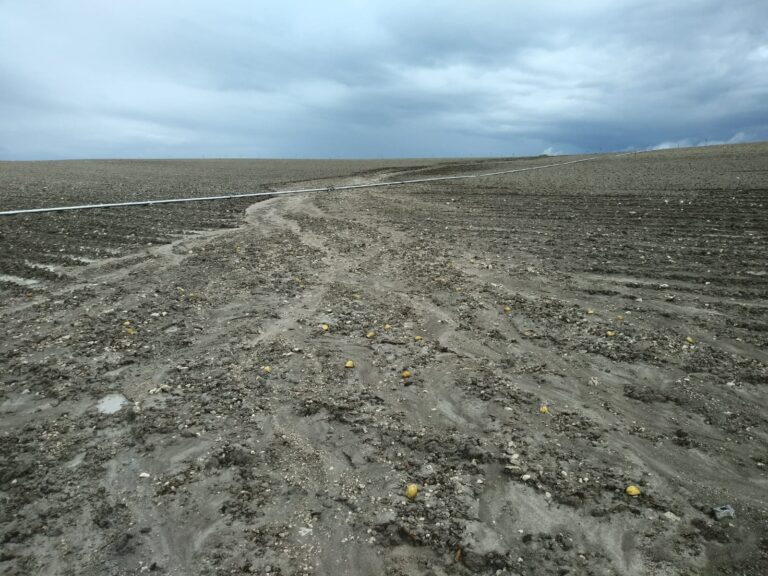 Las intensas y prolongadas tormentas inquietan al regadío de Castilla y León