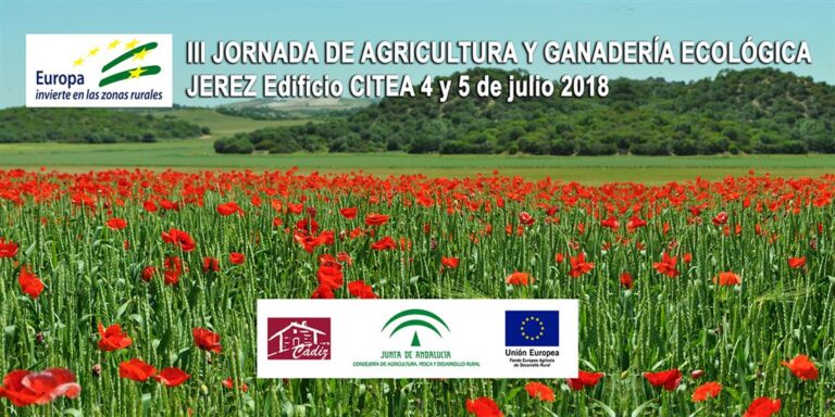 AMFAR –CÁDIZ se sumerge, un año más, en el mundo ECO