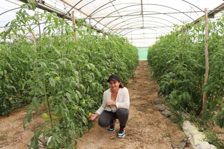 La joven Clara Guilló recibe el Premio Agricultor del Año en la Nit del Camp d’Elx