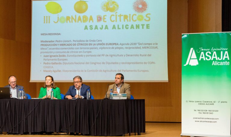 Asaja Alicante denuncia que Europa discrimina a los cítricos de la provincia permitiendo la entrada de otros de terceros países