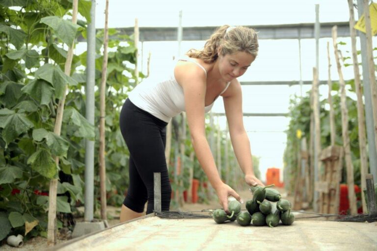 COAG se integra en la Alianza por una Agricultura Sostenible (ALAS)