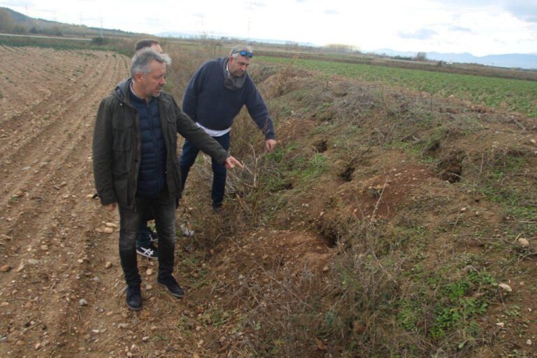Asaja Navarra denuncia los daños causados por la fauna cinegética