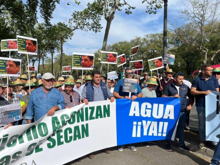 Más de 500 agricultores se concentran en Sevilla para pedir el adelanto de la campaña de riego