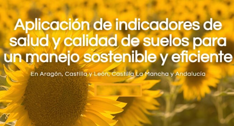 GO Salud Girasol