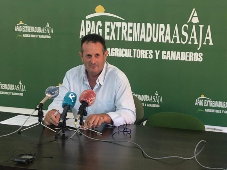 APAG Extremadura Asaja califica la cosecha de la aceituna como la peor del actual siglo