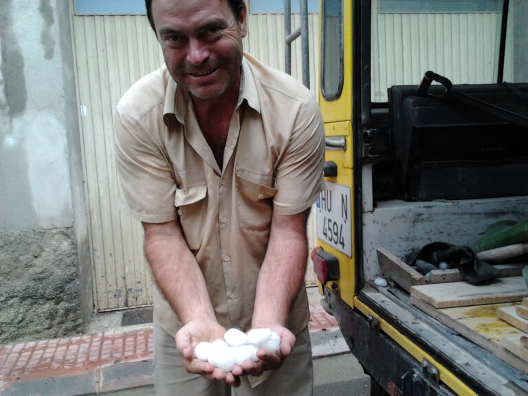 El pedrisco del viernes en varias zonas de Huesca dejará daños en producción y mano de obra