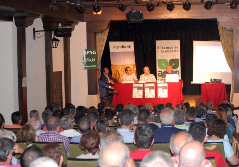 Las plantas aromáticas pueden ser un complemento y una opción de futuro