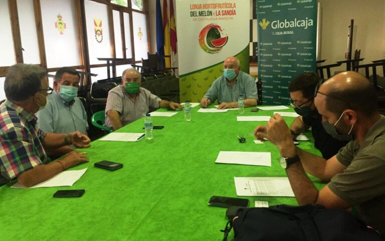 La campaña de melón y sandía de La Mancha arranca con pocas existencias, con precios más o menos razonables en melón y bajos en sandía