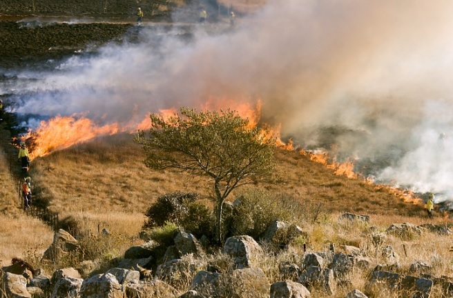 Asaja Navarra UAGN recuerda maximizar la precaución ante el riesgo extremo de incendios forestales