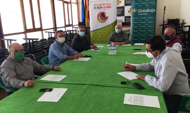 Termina la recogida de melón y sandía en Castilla-La Mancha tras una campaña de precios “estables y razonables”