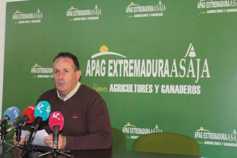 APAG Extremadura Asaja considera que este año la campaña de aceituna verá reducida su producción en torno al 80%