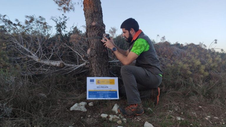 El GO PREVPA concluye su trabajo de monitorización de poblaciones de jabalíes en Castellón