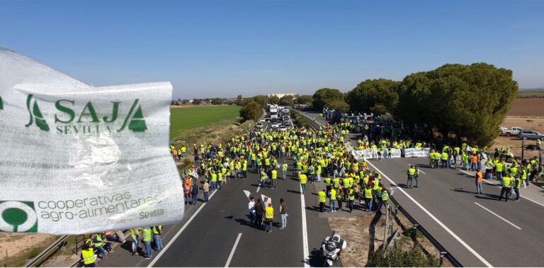 Los agricultores y ganaderos sevillanos saldrán el viernes a las carreteras en demanda de una PAC justa y unos precios dignos