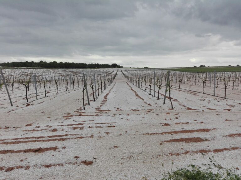 Las tormentas impiden a los agricultores preparar los terrenos y producen numerosos daños en las explotaciones de la región