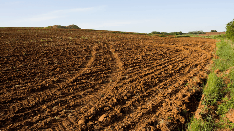 ASAJA LA VILA CREA UN BANCO DE TIERRAS PARA PODER SER EXPLOTADO POR PARADOS