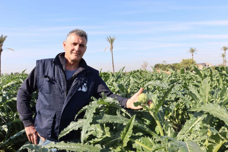 Álvaro Boix recibirá el Premio Agricultor del 2024 por impulsar un modelo rentable de agricultura y venta directa en el Cam