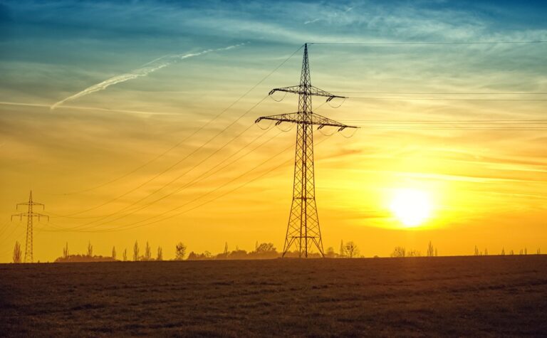 Aprobada la contratación temporal para campañas agrícolas y la doble tarifa eléctrica para el campo