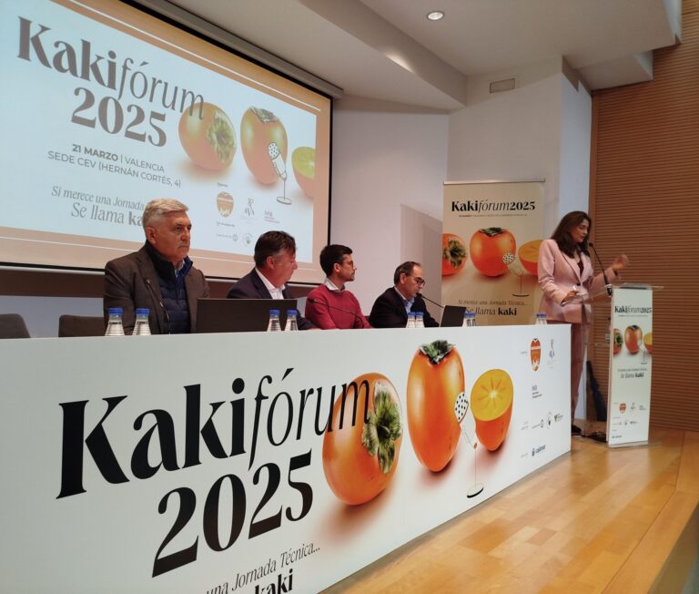 El sector del kaki busca estrategias eficaces contra las plagas para garantizar su viabilidad