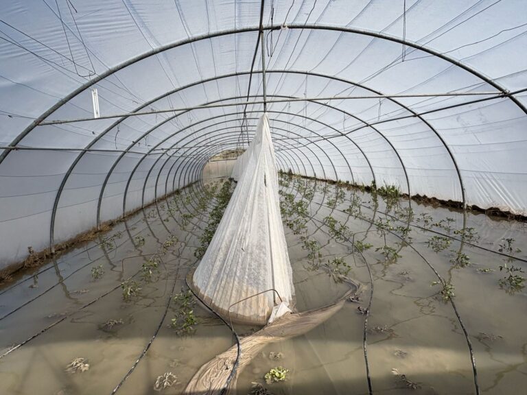 Marzo de 2025: Un respiro lluvioso para el campo español
