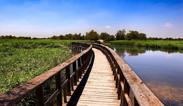 Para las Tablas de Daimiel, agua y “más tablas”