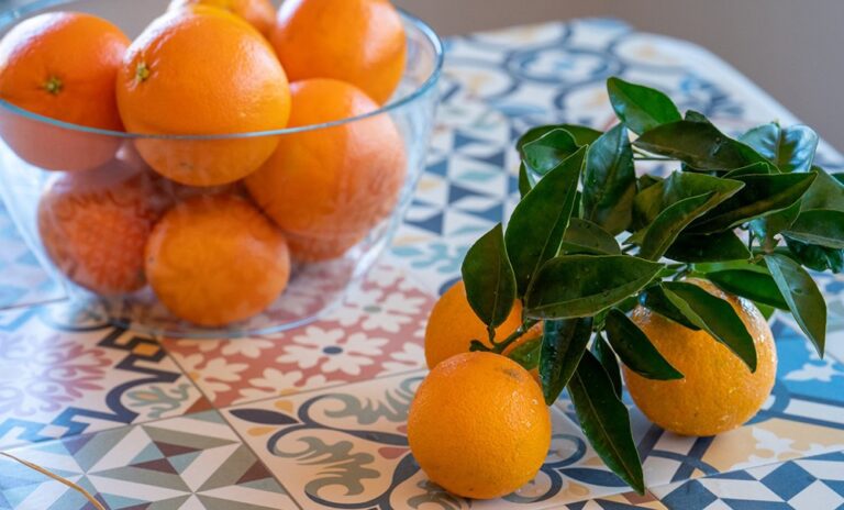 Intercitrus llega a un acuerdo sobre promoción, polinización cruzada y prevención del HLB 