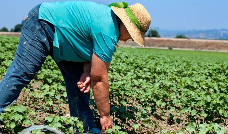 ASAJA Málaga celebra los avances legislativos en la contratación temporal y la tarifa eléctrica