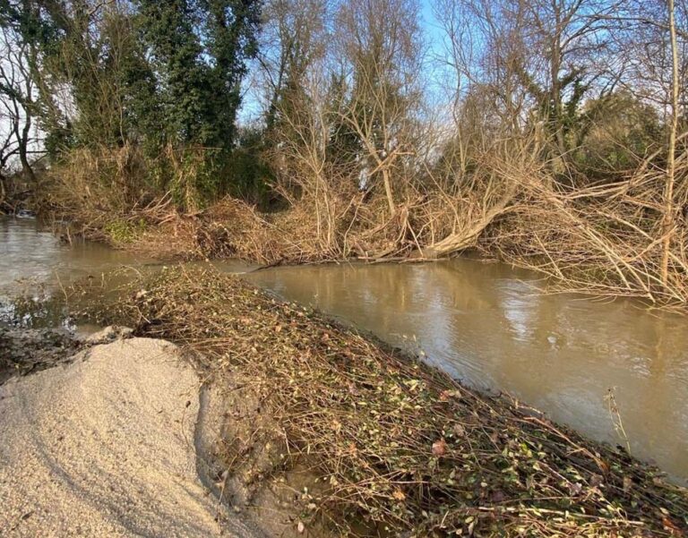 ASAJA Toledo pide acciones urgentes en el arroyo Alcañizo para prevenir nuevas inundaciones