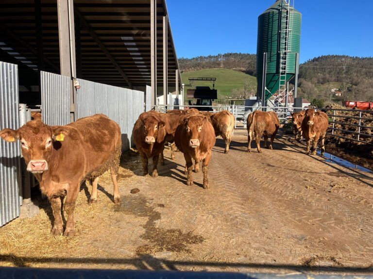ASAJA reclama el cierre inmediato de las importaciones de carne de Brasil tras las alertas por el uso de sustancias prohibidas en la UE