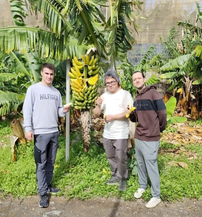 Producción ecológica y tecnologías innovadoras para Jóvenes Agricultores