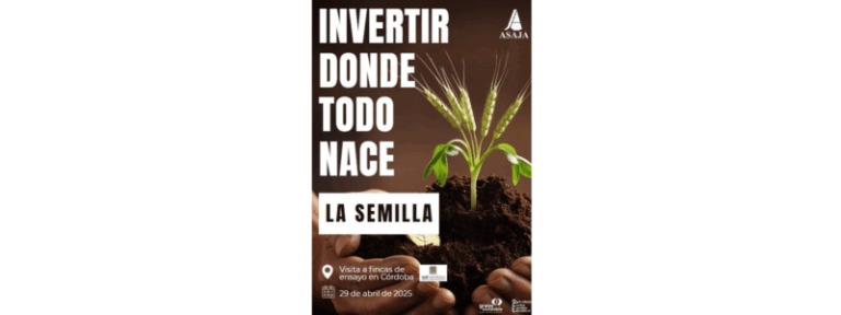 Semillas que plantan futuro: los campos de ensayo muestran el potencial de la mejora genética en Córdoba