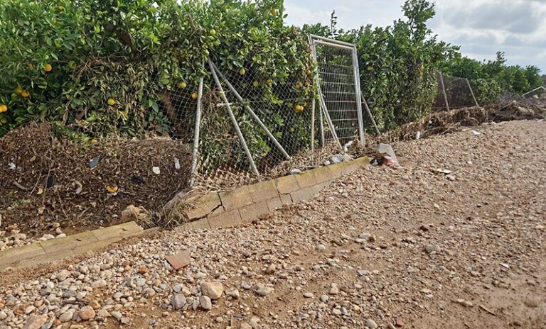 AVA-ASAJA valora las nuevas ayudas del Gobierno para acelerar las reparaciones agrarias de la DANA
