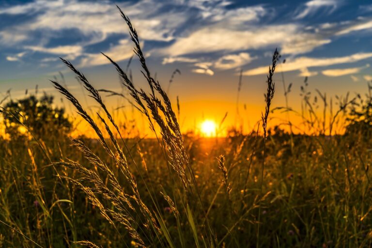 Días de primavera plena y hasta 32 grados antes de un fin de semana más inestable