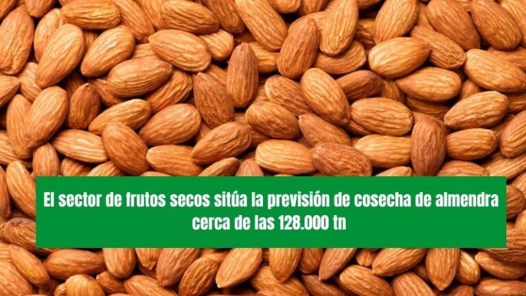 El sector de frutos secos sitúa la previsión de cosecha de almendra cerca de las 128.000tn
