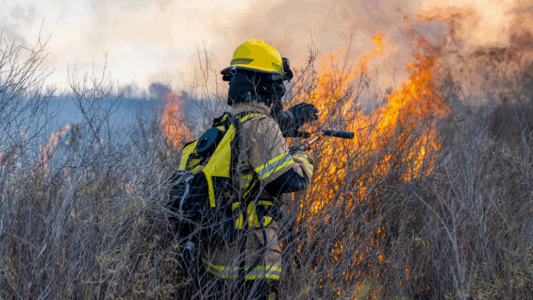 La UE despliega bomberos y aeronaves para reforzar la lucha contra los incendios forestales este verano